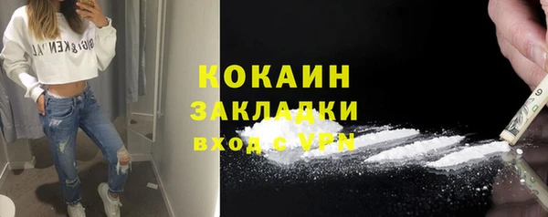 ешки Няндома