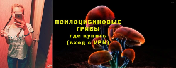 ешки Няндома