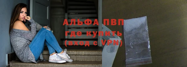 a pvp Новозыбков