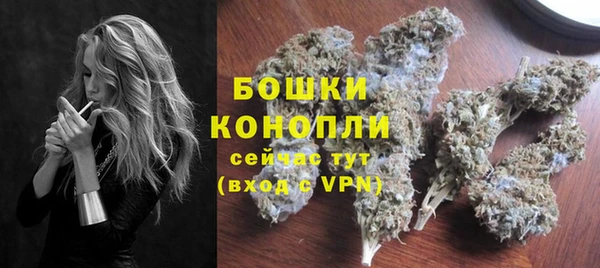 спиды Новодвинск