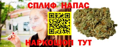 шишки Ирбит