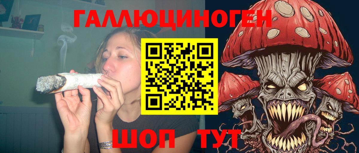 Псилоцибиновые грибы прущие грибы  Псилоцибиновые грибы Psilocybine cubensis  закладки  Клин 